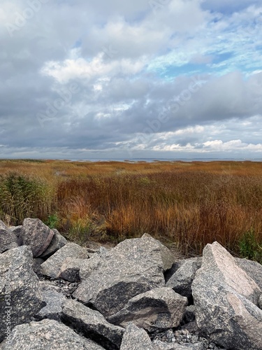 View on a bay coast with tall grass and stones in autumn