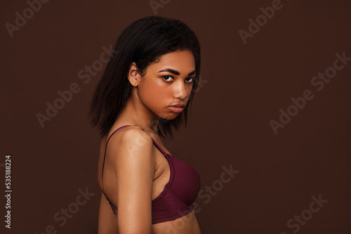 Side view of a young woman with black hair looking at camera. Young slim female in lingerie posing on brown background.