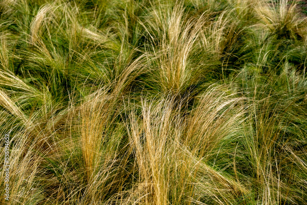 abstract background of mediterranean pastures abstract background of mediterranean pastures