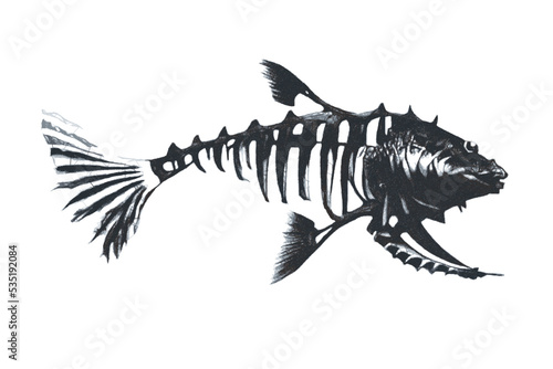Fish skeleton. Fantastic Se...
