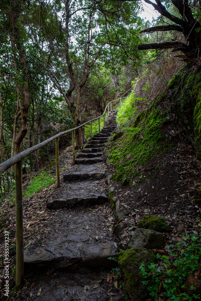 The Levada do Moinho to Levada Nova waterfall hike	