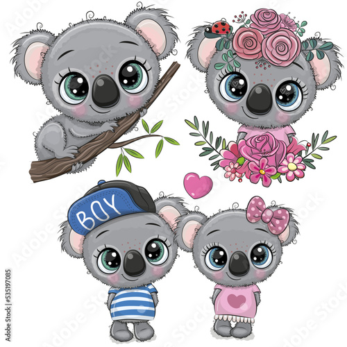 Photography Cute Cartoon koalas isolated on a white background