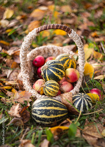basket with pumpkins and apples close-up © Юлия Чиркова