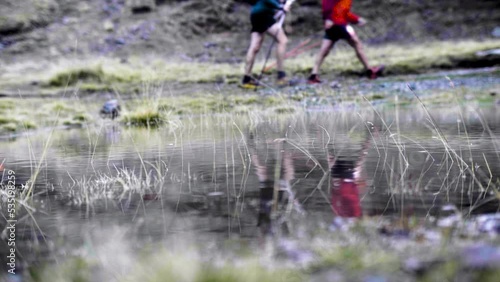 trail, ultra trail, course à pied, montagne, pluie, soleil, vent, pierre, peloton, sport, été, vue, le randonneur, randonnée, sac à dos, liberté, tourisme, gazon