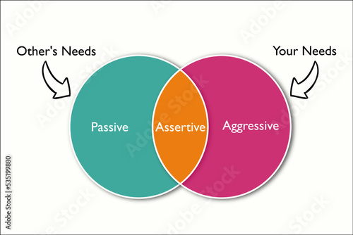 the assertiveness which is combination of aggressive and passive photo