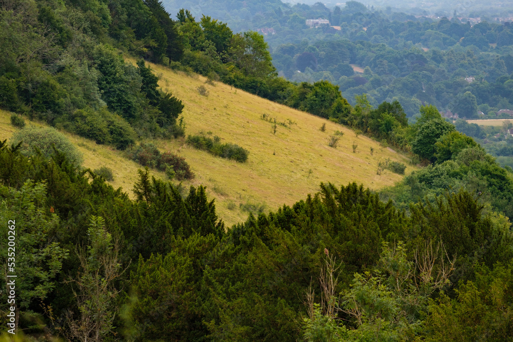 Slopes of Box Hill Surrey during 2022 Drought