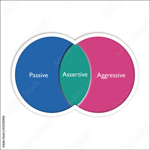 the assertiveness which is combination of aggressive and passive
