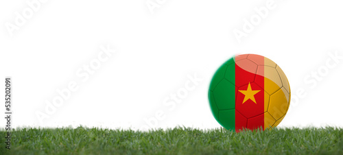 cameroon flag on soccer ball on grass  copy space with white background.