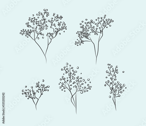 Baby's breath gypsophila vector flowers set.