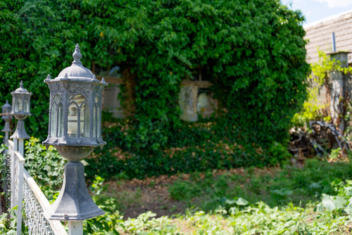 A street lamp on the fence of a summer cottage against the background of an old house covered with hop bushes