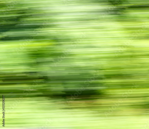 Green nature in summer in motion.