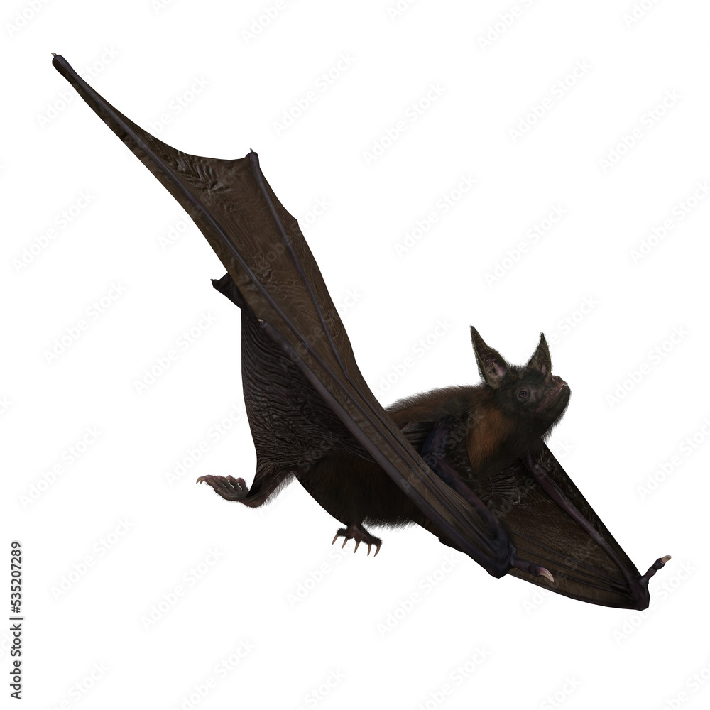Fototapeta premium Halloween Vampire Bat on PNG Transparent Background