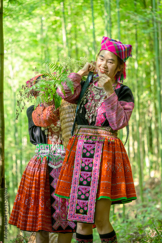 People H'mong ethnic minority with colorful costume dress walking in bamboo forest in Mu Cang Chai, Yen Bai province, Vietnam. Vietnamese bamboo woods. High trees in the forest