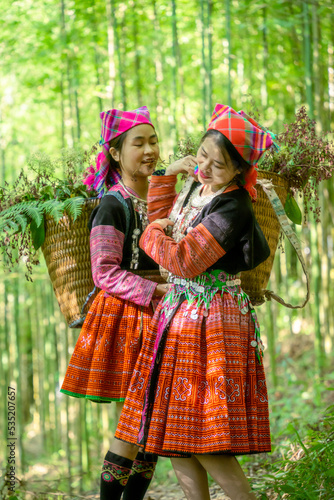 People H'mong ethnic minority with colorful costume dress walking in bamboo forest in Mu Cang Chai, Yen Bai province, Vietnam. Vietnamese bamboo woods. High trees in the forest