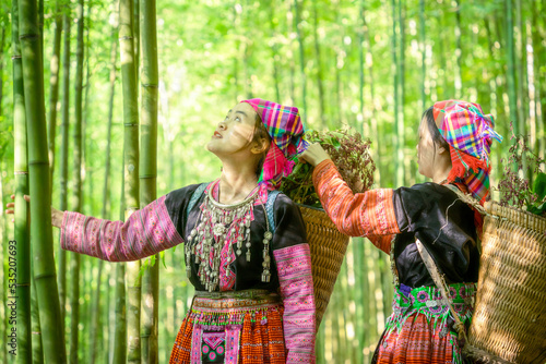 People H'mong ethnic minority with colorful costume dress walking in bamboo forest in Mu Cang Chai, Yen Bai province, Vietnam. Vietnamese bamboo woods. High trees in the forest