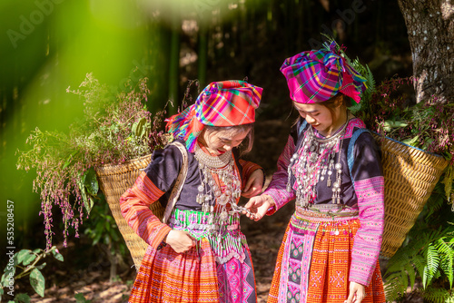Wallpaper Mural People H'mong ethnic minority with colorful costume dress walking in bamboo forest in Mu Cang Chai, Yen Bai province, Vietnam. Vietnamese bamboo woods. High trees in the forest Torontodigital.ca