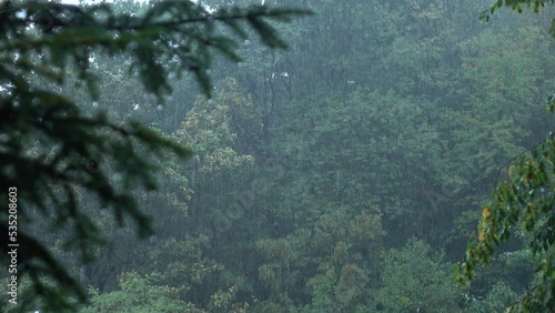 Rain in natural parkland. A rainstorm with a forest backdrop