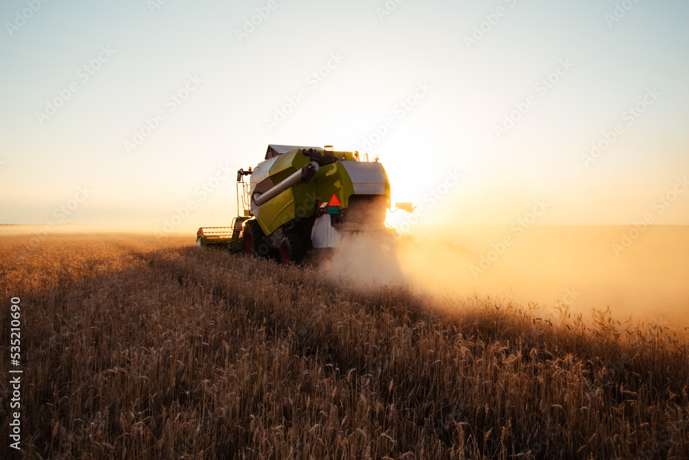 Combine harvester at gold light in agriculture fields with wheat Combine harvester at gold light in agriculture fields with wheat