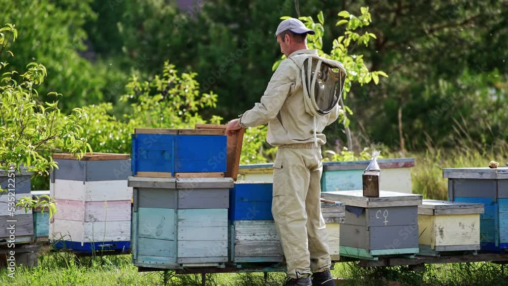 Caucasian apiarist in light protective outfit hits by the lid of a hive with his fist. Beekeeper closes the hive carefully checking the bees. Caucasian apiarist in light protective outfit hits by the lid of a hive with his fist. Beekeeper closes the hive carefully checking the bees.