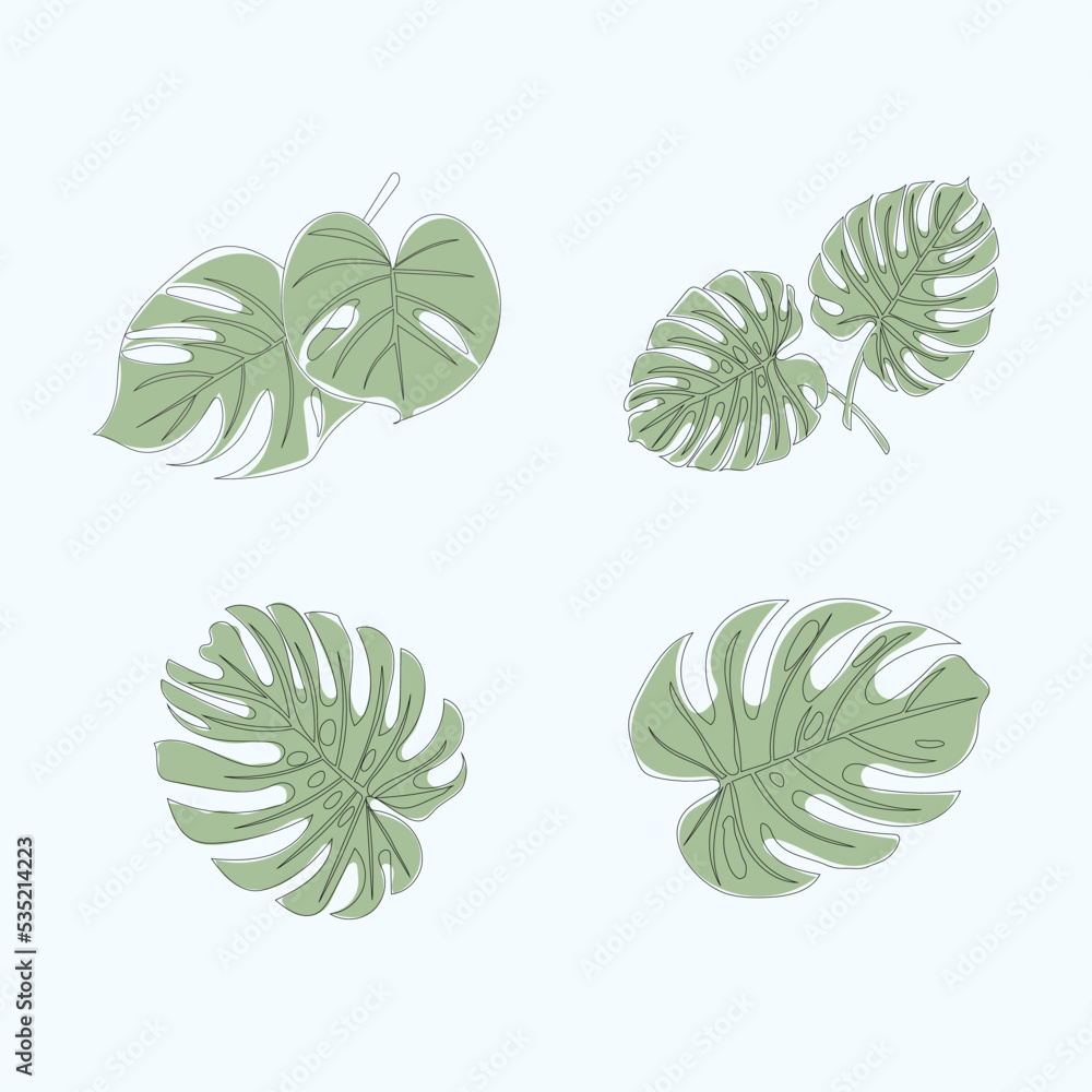 Set of Monstera leaves vector line art drawing and illustration Set of Monstera leaves vector line art drawing and illustration