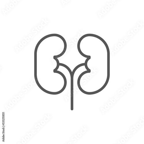 Kidney icon vector. Urology logo design template. Human nephron organ, kidneys icon