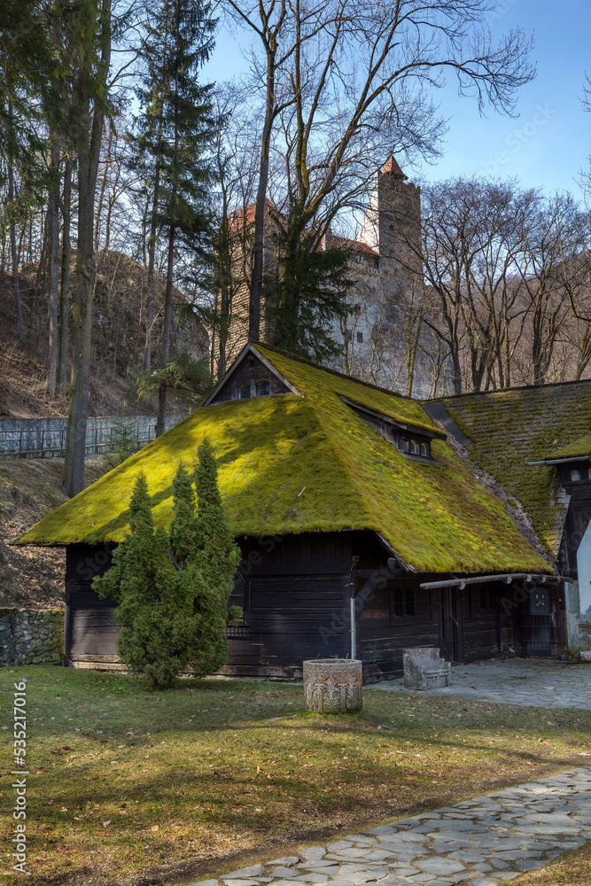 Fototapeta premium Bran, Romania house, green moss on roof and Castle