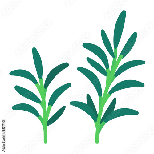 Rosemary