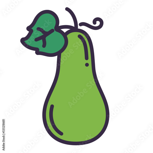 Bottle gourd