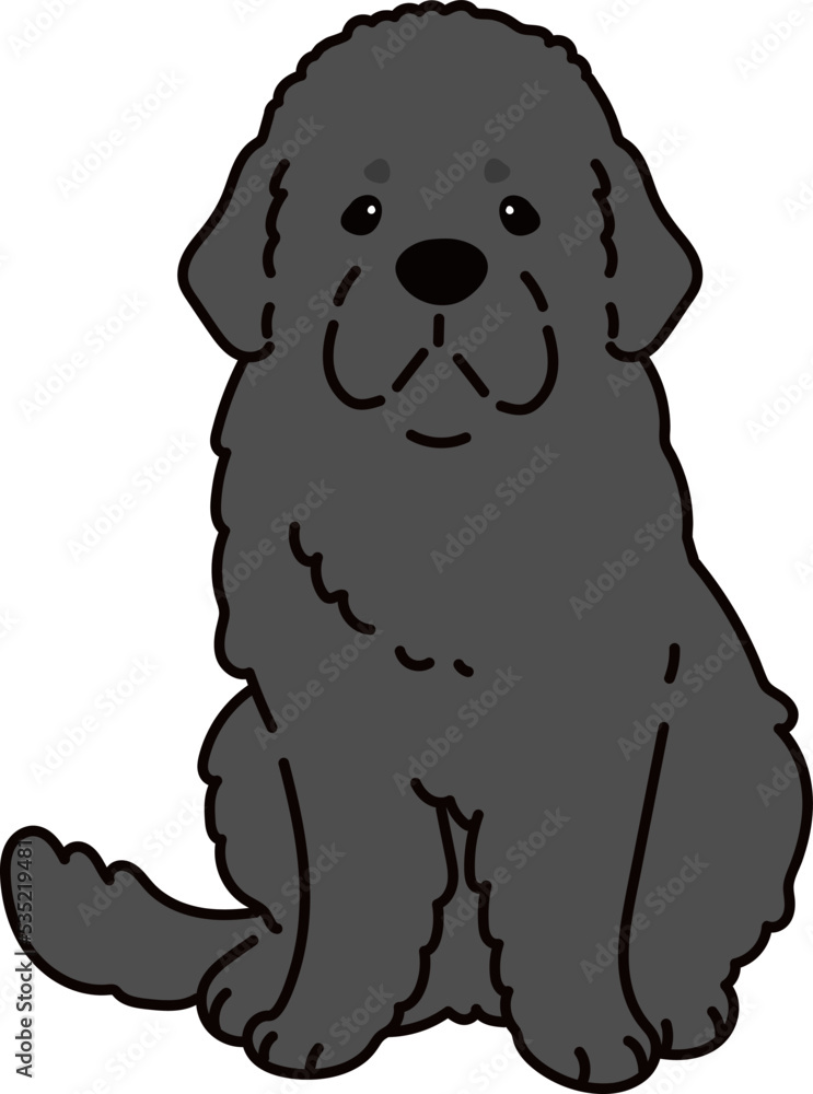 Simple and adorable Newfoundland dog illustration sitting in front view Simple and adorable Newfoundland dog illustration sitting in front view