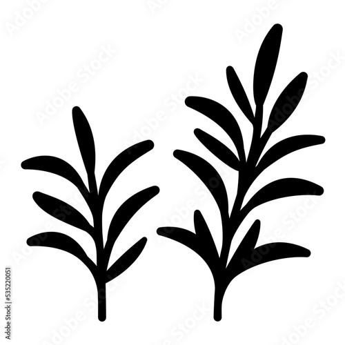 Rosemary
