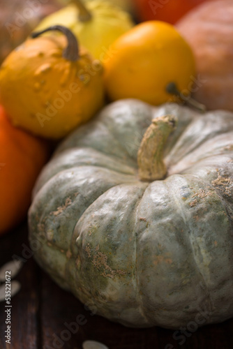 Farm ecological pumpkins of various varieties on a wooden background