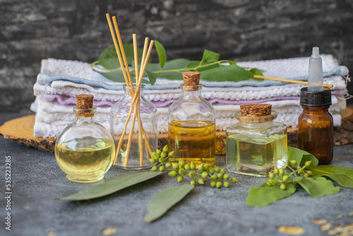 Eucalyptus plant leaves, seeds and eucalyptus oil in bottle on black background.