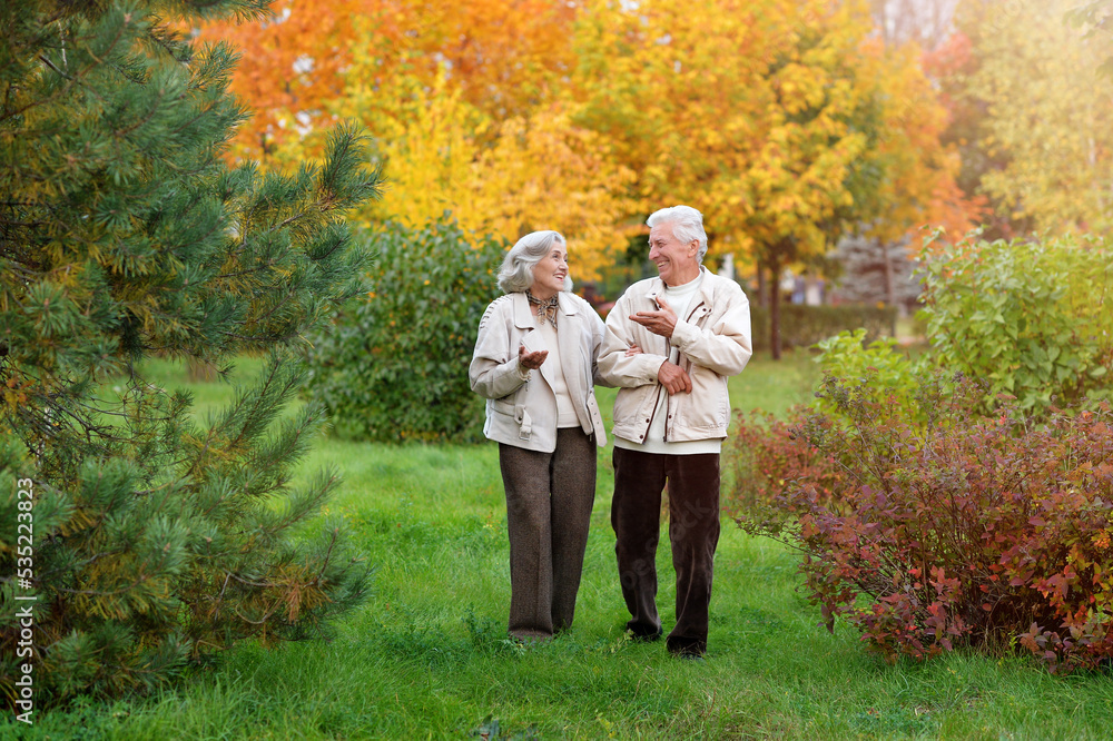 Fototapeta premium Elderly couple in the park in autumn. In full growth