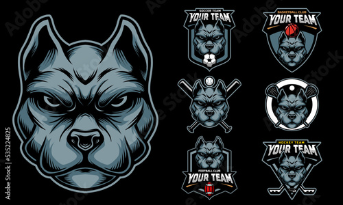 Pitbull Head Mascot Logo with logo set for team football, basketball, lacrosse, baseball, hockey , soccer .suitable for the sports team mascot logo .vector illustration.