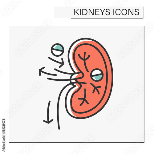 Kidney color icon. Kidney filter excess fluid and waste products out of blood. Healthcare concept.Isolated vector illustration