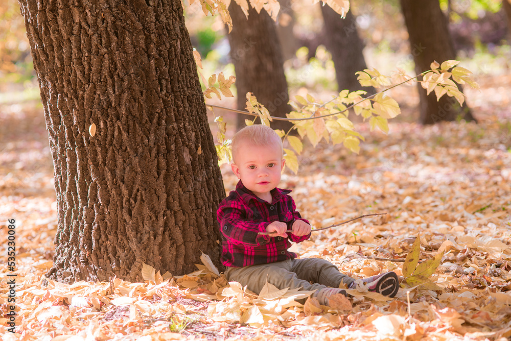 A little boy plays in the autumn park in yellow leaves. Autumn mood A little boy plays in the autumn park in yellow leaves. Autumn mood