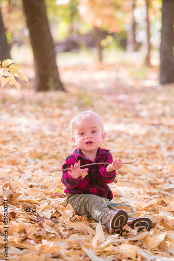 A little boy plays in the autumn park in yellow leaves. Autumn mood A little boy plays in the autumn park in yellow leaves. Autumn mood
