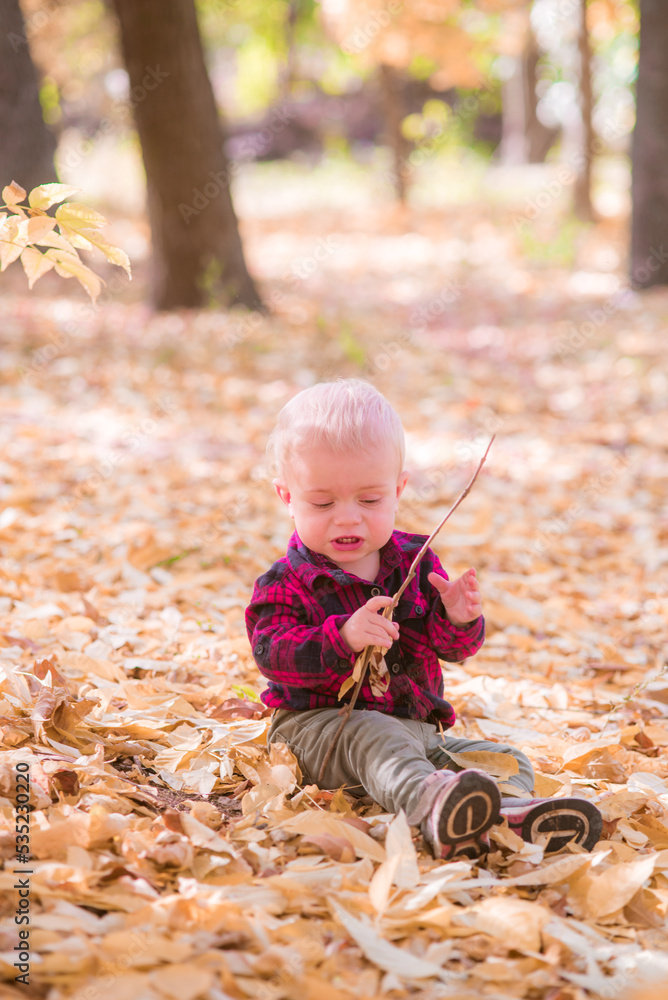 A little boy plays in the autumn park in yellow leaves. Autumn mood