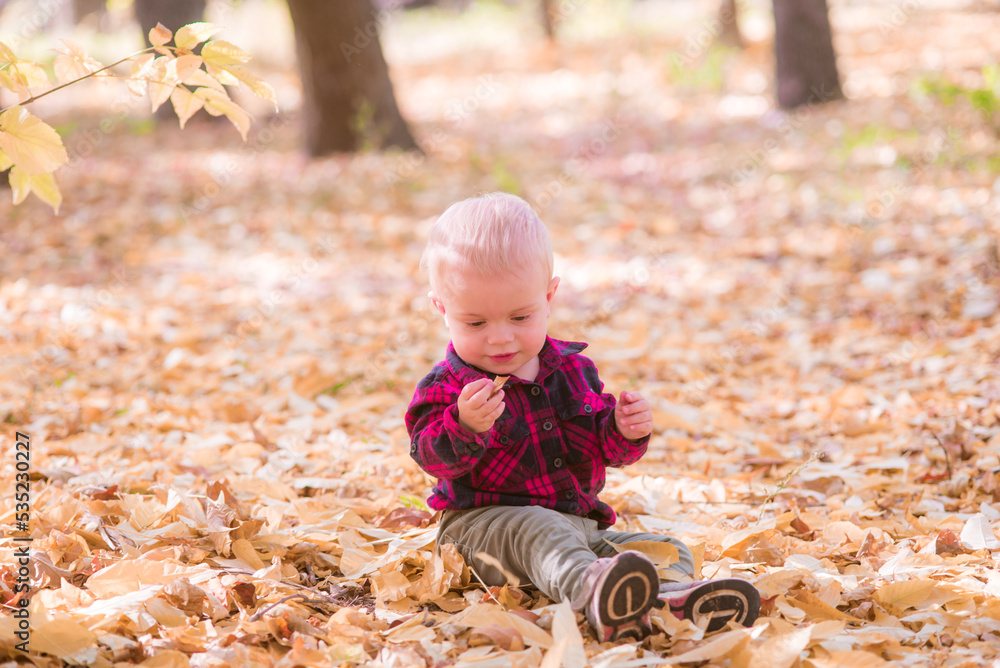 A little boy plays in the autumn park in yellow leaves. Autumn mood A little boy plays in the autumn park in yellow leaves. Autumn mood
