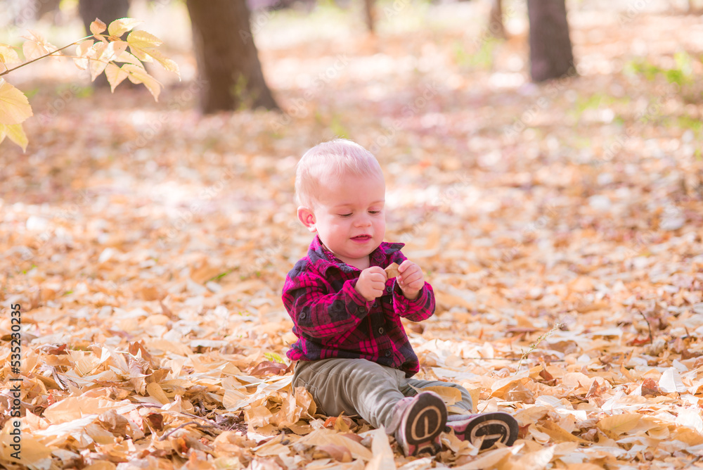 A little boy plays in the autumn park in yellow leaves. Autumn mood A little boy plays in the autumn park in yellow leaves. Autumn mood