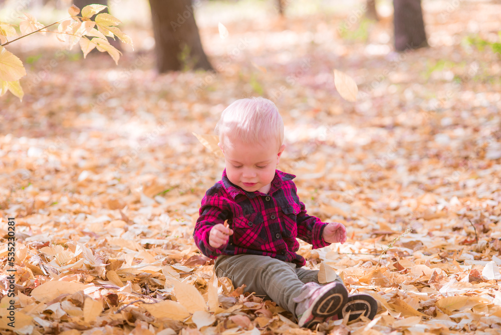 A little boy plays in the autumn park in yellow leaves. Autumn mood A little boy plays in the autumn park in yellow leaves. Autumn mood