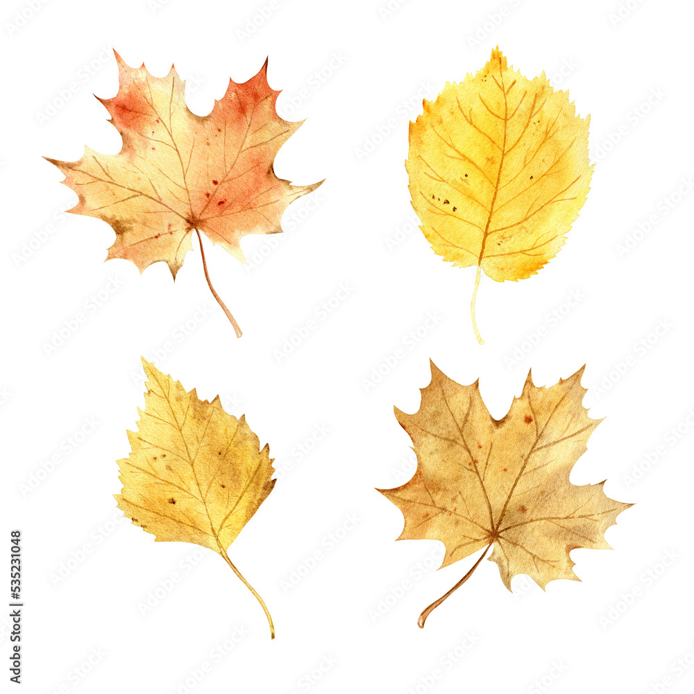 Obraz premium Watercolor autumn set
