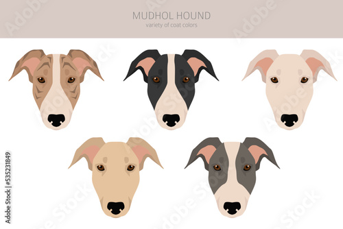 Mudhol hound clipart. All coat colors set.; All dog breeds characteristics infographic