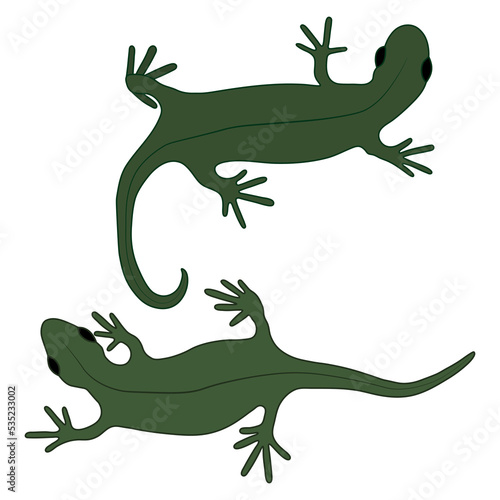 Set of lizards reptile gecko vector illustration. Simple illustration isolated on white background. Template for books  stickers  posters  cards  clothes.