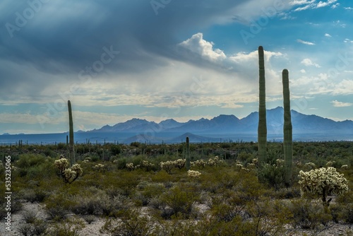 An overlooking view of Organ Pipe Cactus NM, Arizona