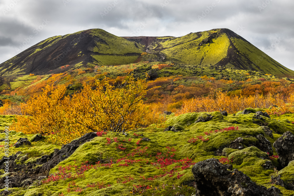 Fototapeta premium Grábrók Crater Landscape in Autumn/Fall with Lava Field and Autumnal Colored Trees in West Iceland