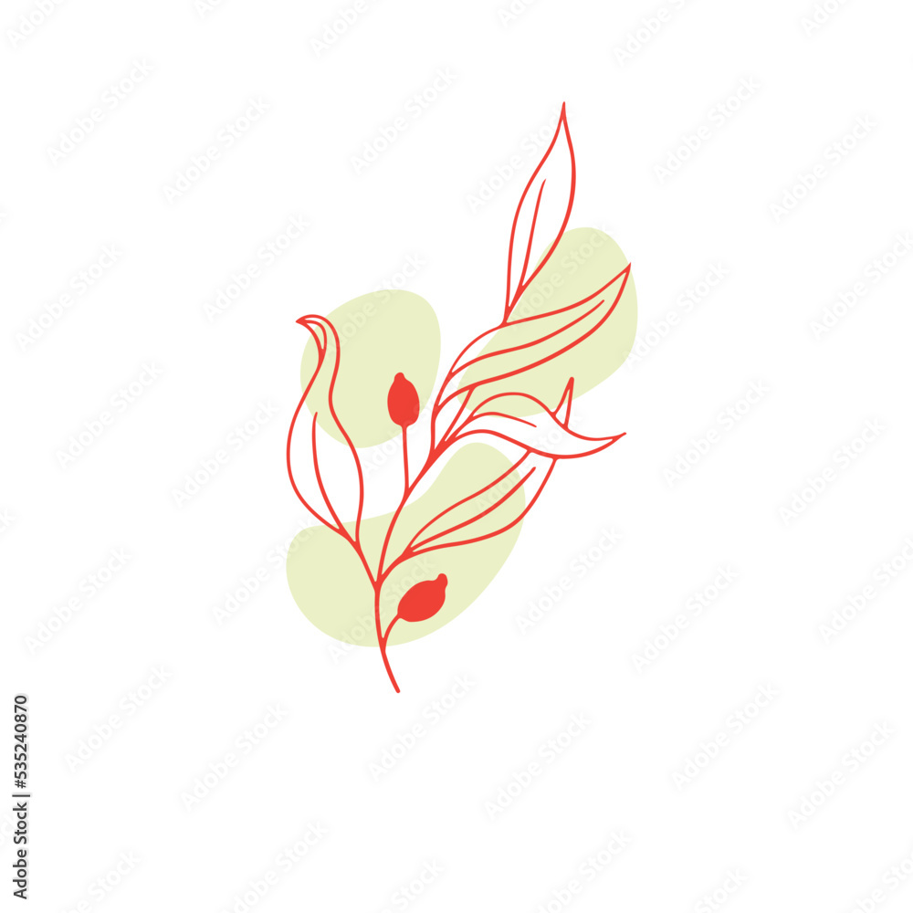 Floral Aesthetic Illustration Floral Aesthetic Illustration