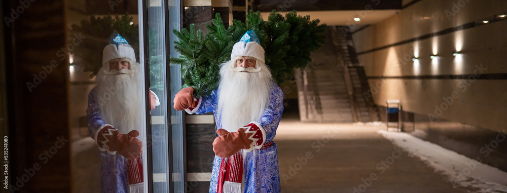 Russian Santa Claus carries a Christmas tree at night outdoors. Russian Santa Claus carries a Christmas tree at night outdoors.