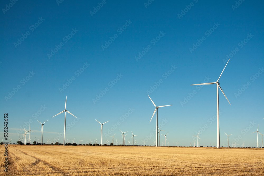 windmills producing electricity in the fields of Castilla windmills producing electricity in the fields of Castilla