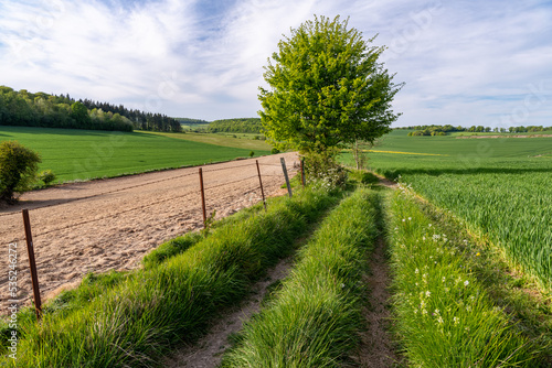 Photos Chemin de randonnée au milieu des champs en pays de Bray en Normandie